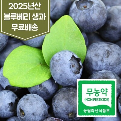 인제로컬푸드,인제 블루베리 생과 1kg 2kg 무농약 2025년산 무료배송 [로컬푸드]